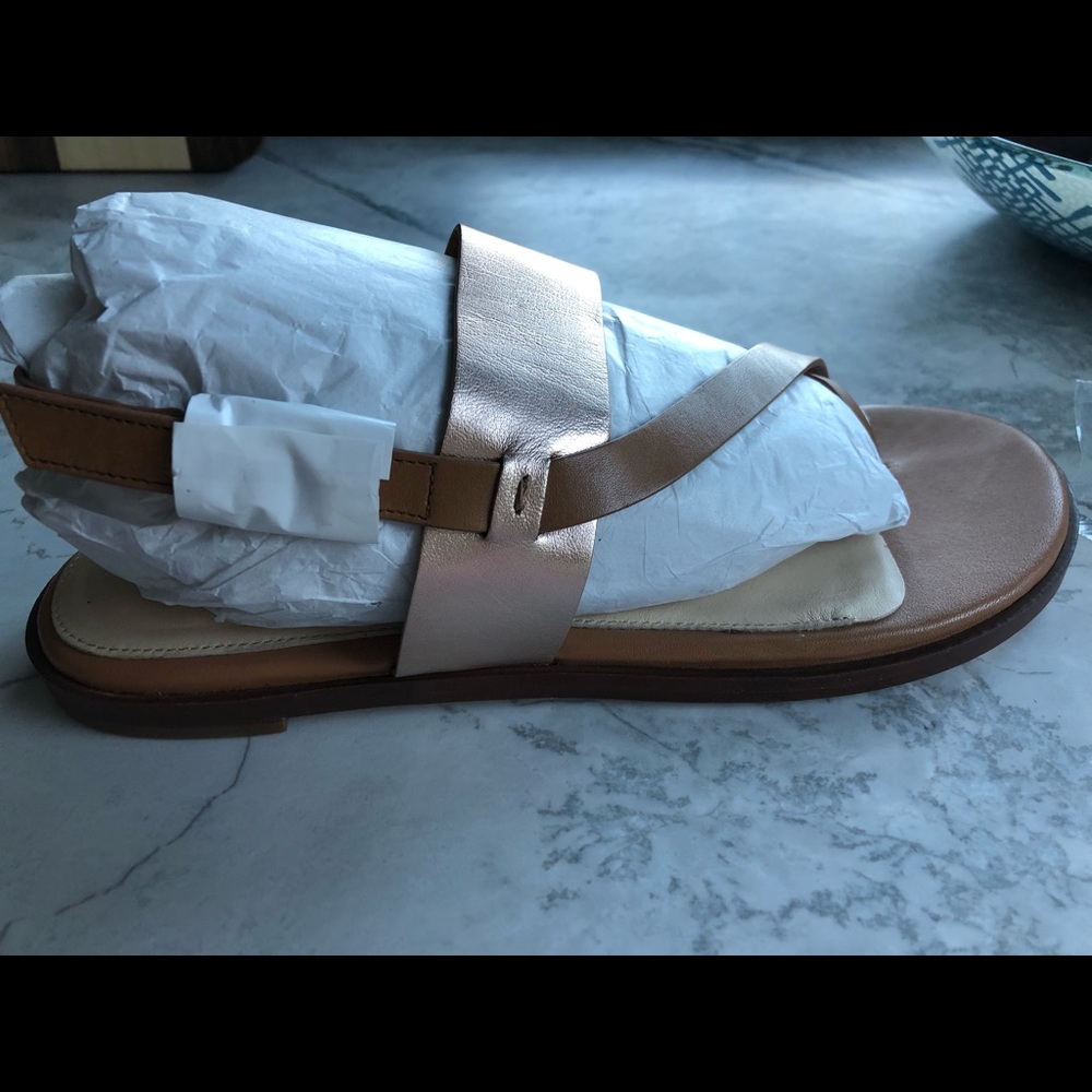 Cole Haan Antica Thong Sandal